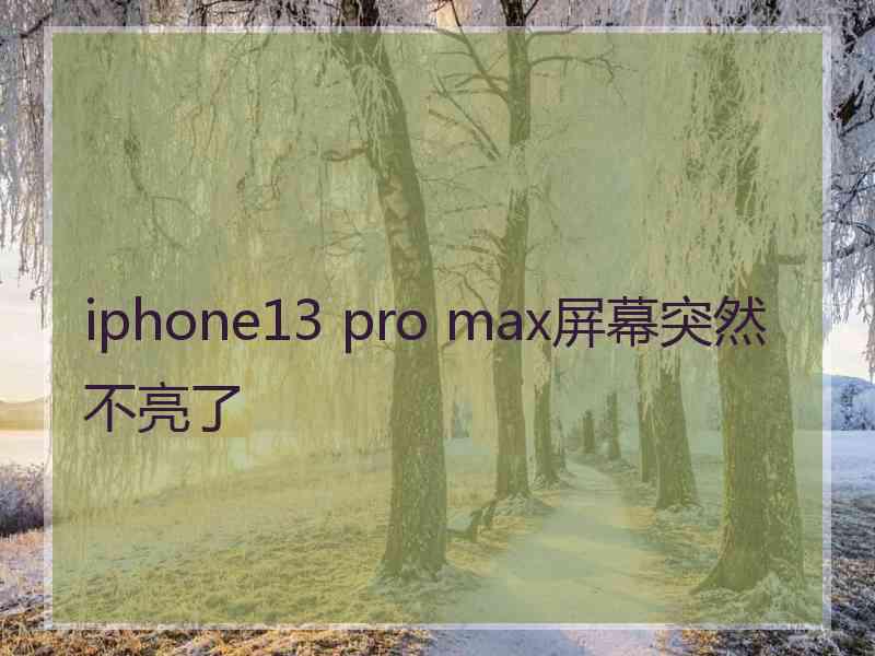 iphone13 pro max屏幕突然不亮了