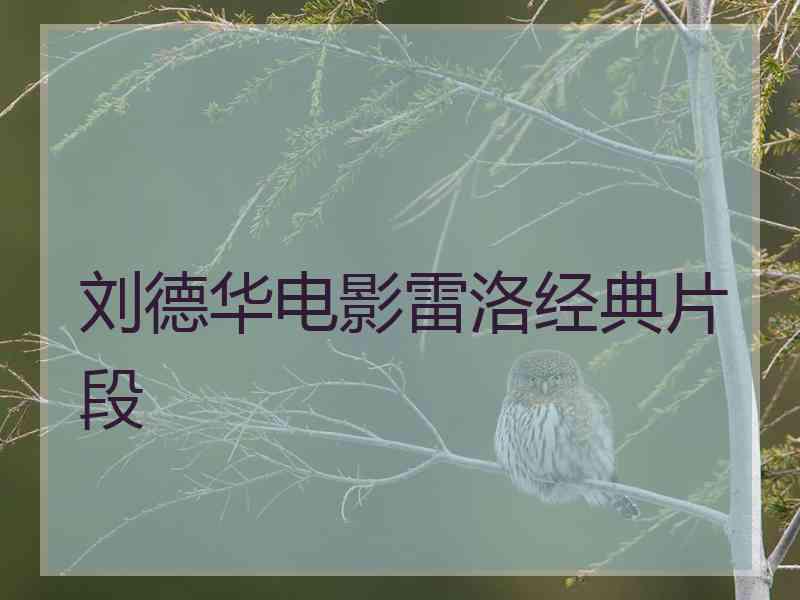 刘德华电影雷洛经典片段