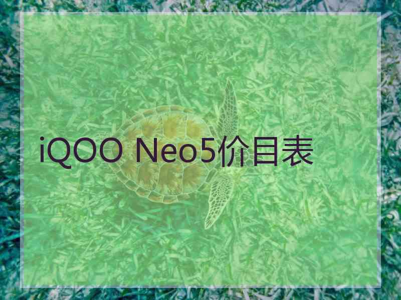 iQOO Neo5价目表