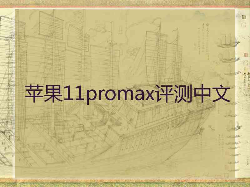 苹果11promax评测中文