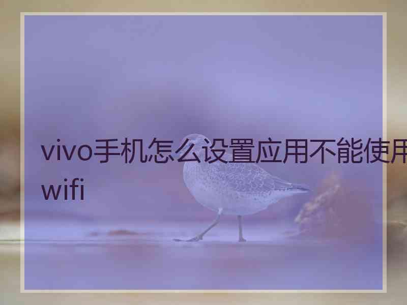 vivo手机怎么设置应用不能使用wifi