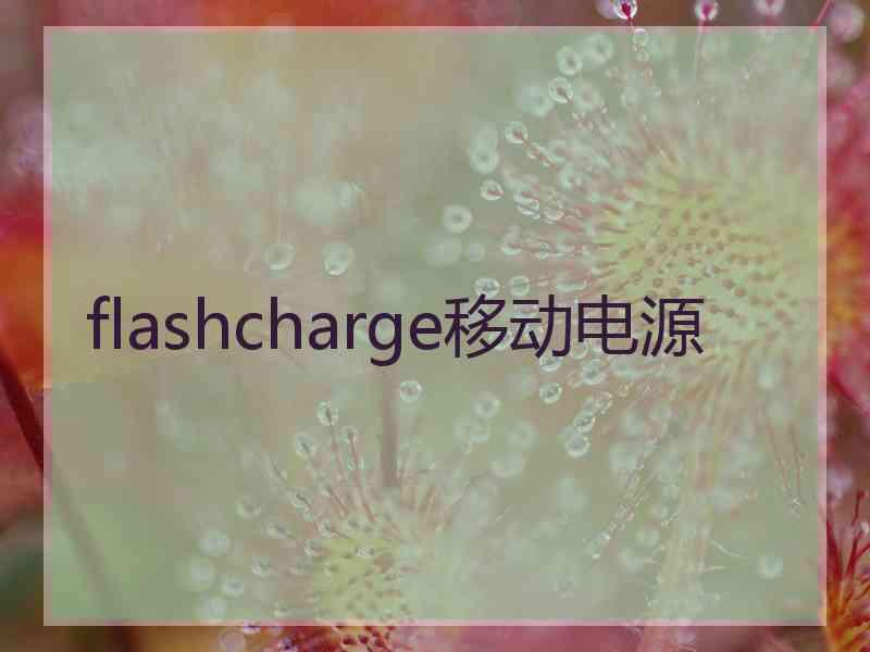 flashcharge移动电源