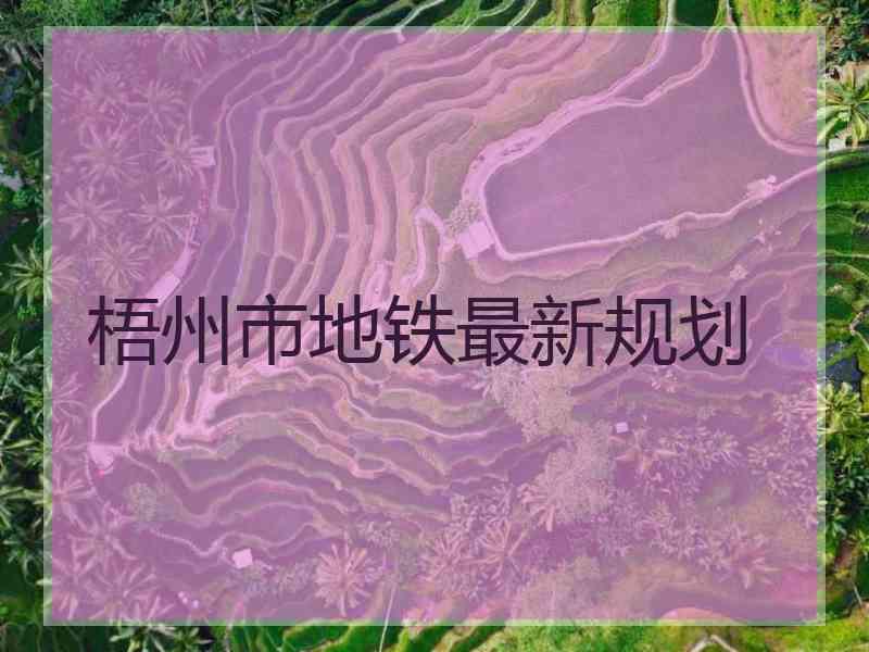 梧州市地铁最新规划