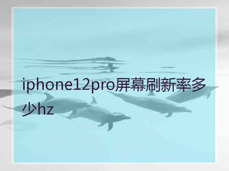 iphone12pro屏幕刷新率多少hz