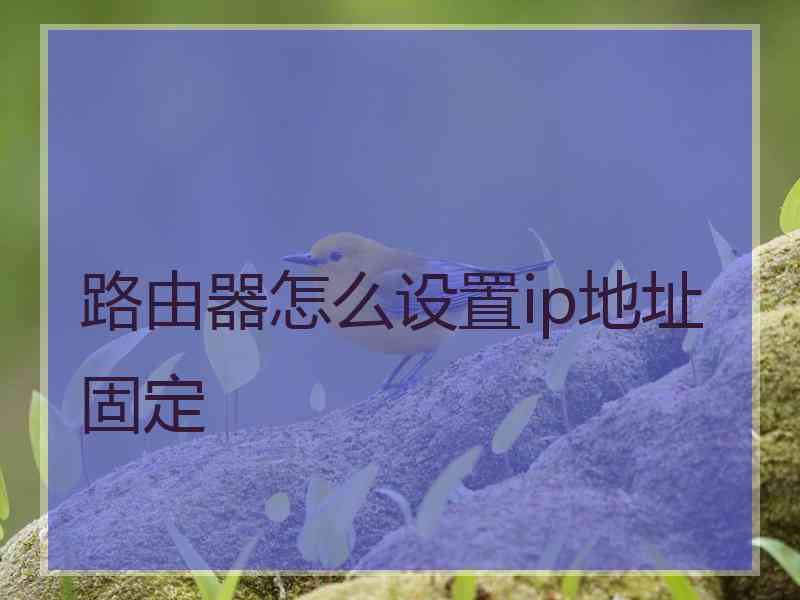 路由器怎么设置ip地址固定