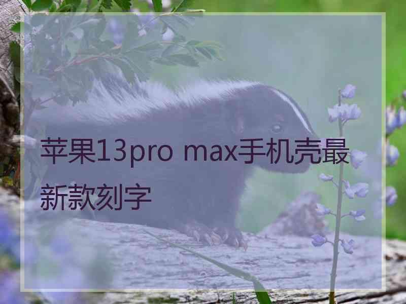 苹果13pro max手机壳最新款刻字