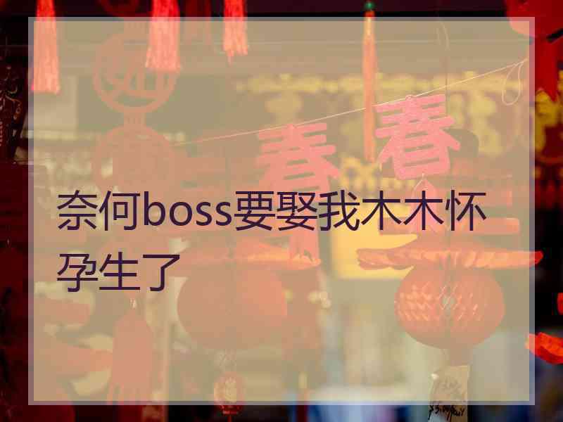 奈何boss要娶我木木怀孕生了