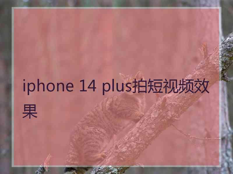 iphone 14 plus拍短视频效果