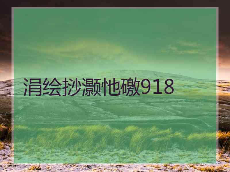 涓绘挱灏忚礉918