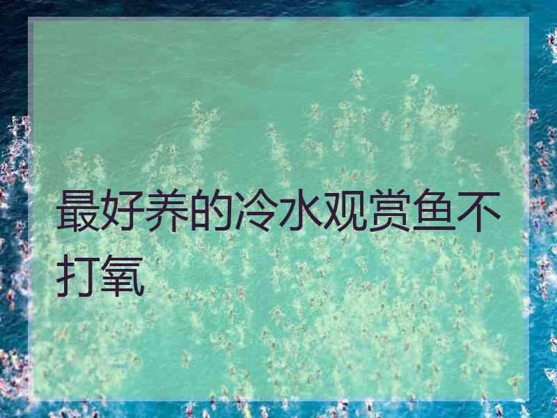 最好养的冷水观赏鱼不打氧