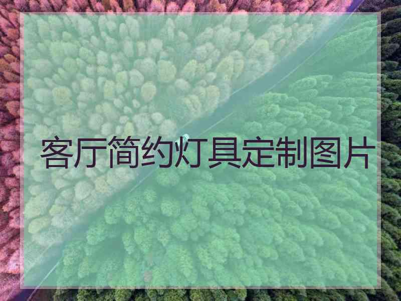 客厅简约灯具定制图片