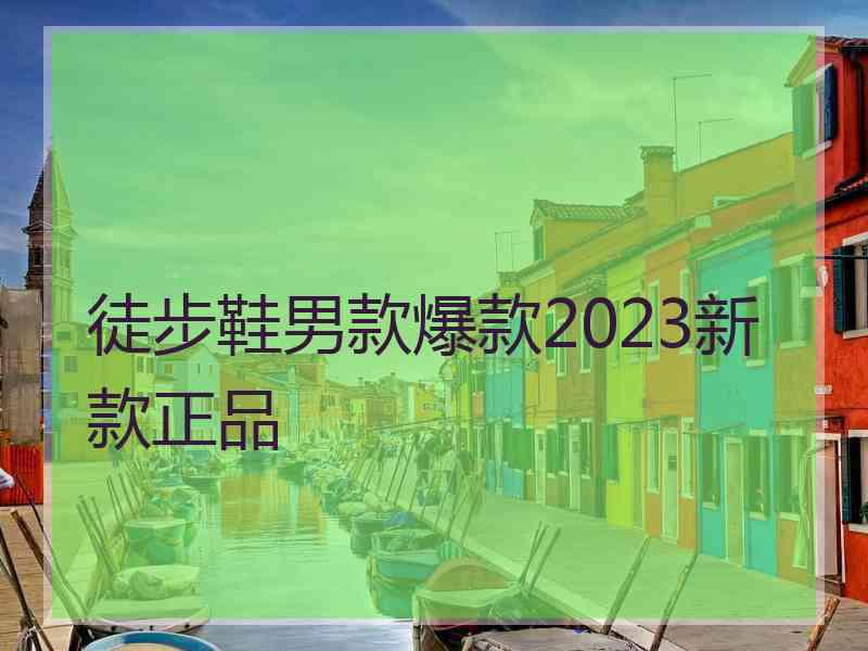 徒步鞋男款爆款2023新款正品