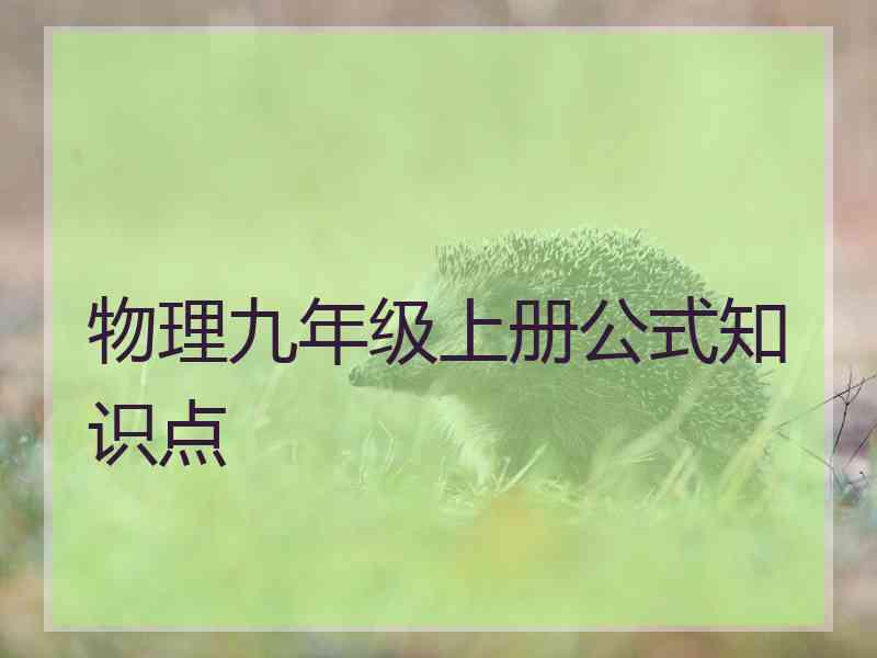 物理九年级上册公式知识点