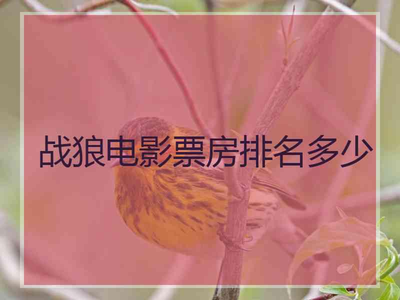 战狼电影票房排名多少