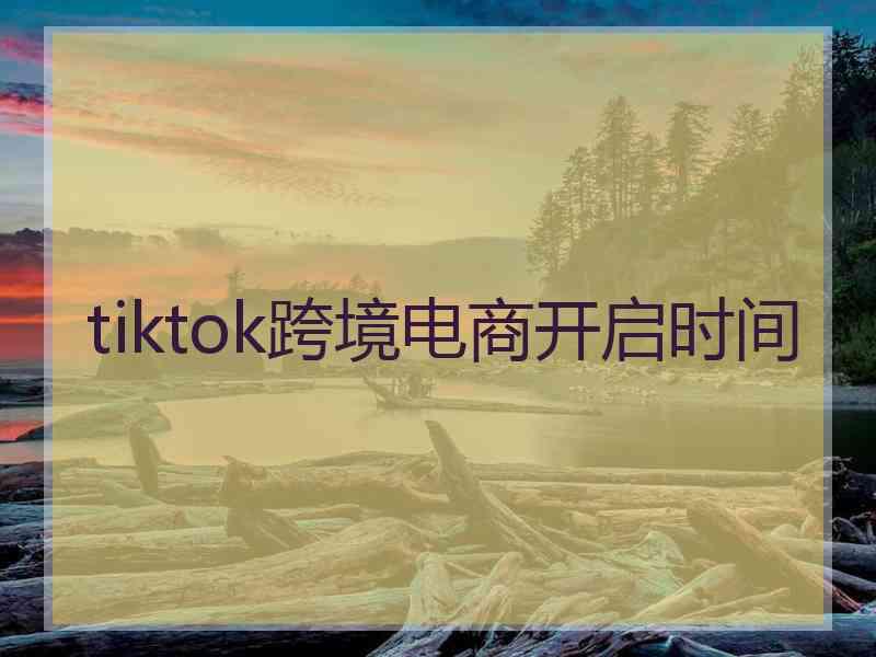 tiktok跨境电商开启时间