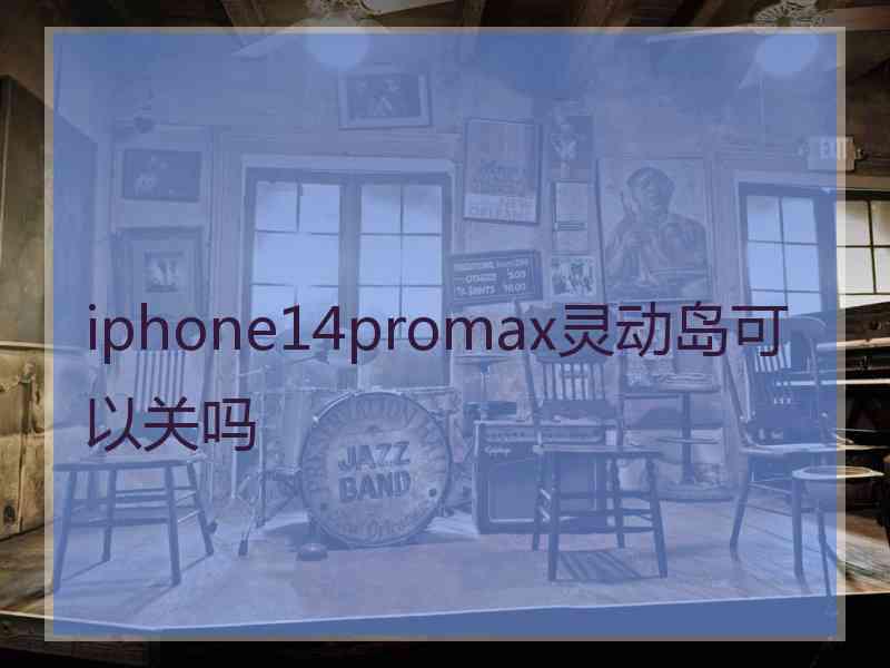 iphone14promax灵动岛可以关吗