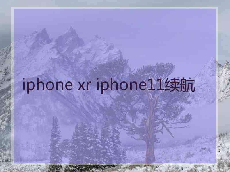 iphone xr iphone11续航