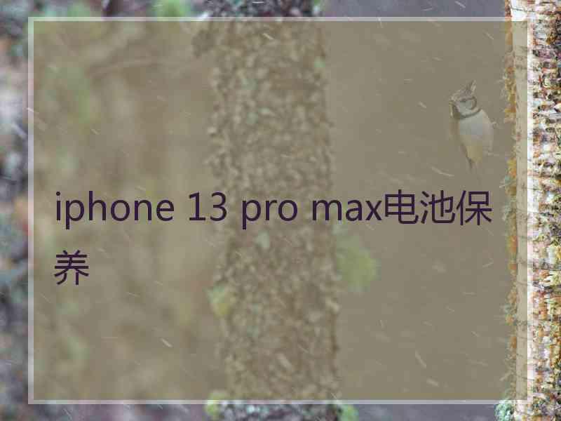 iphone 13 pro max电池保养