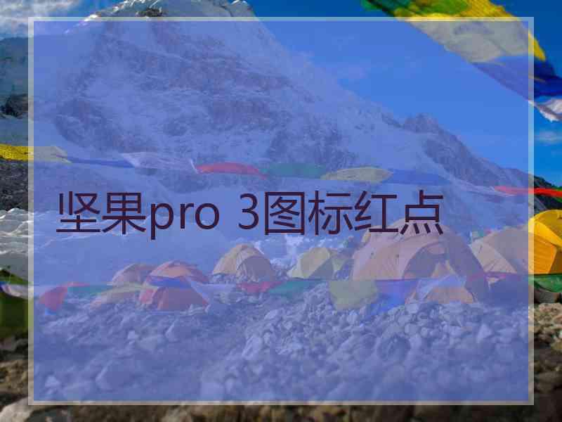 坚果pro 3图标红点