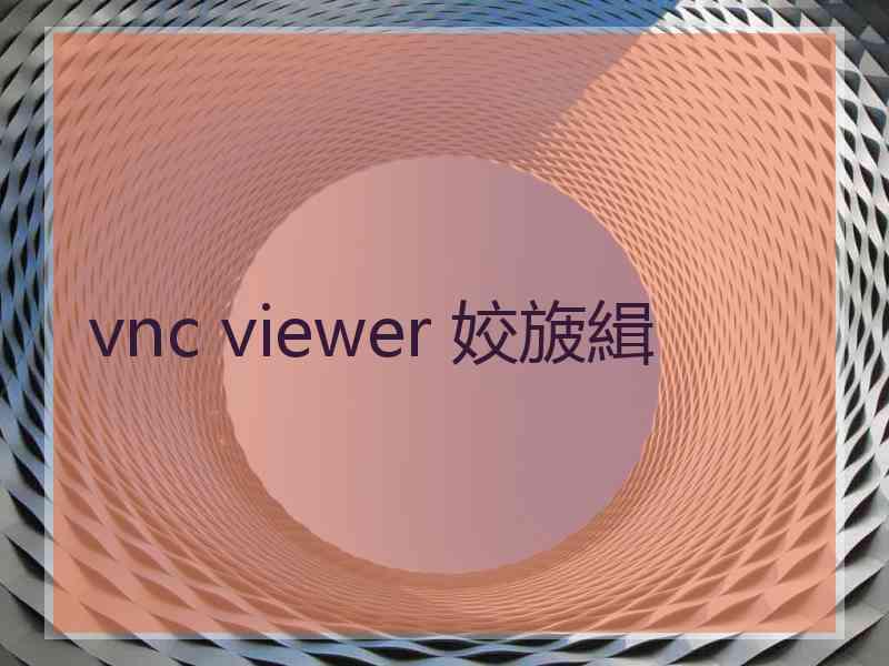 vnc viewer 姣旇緝