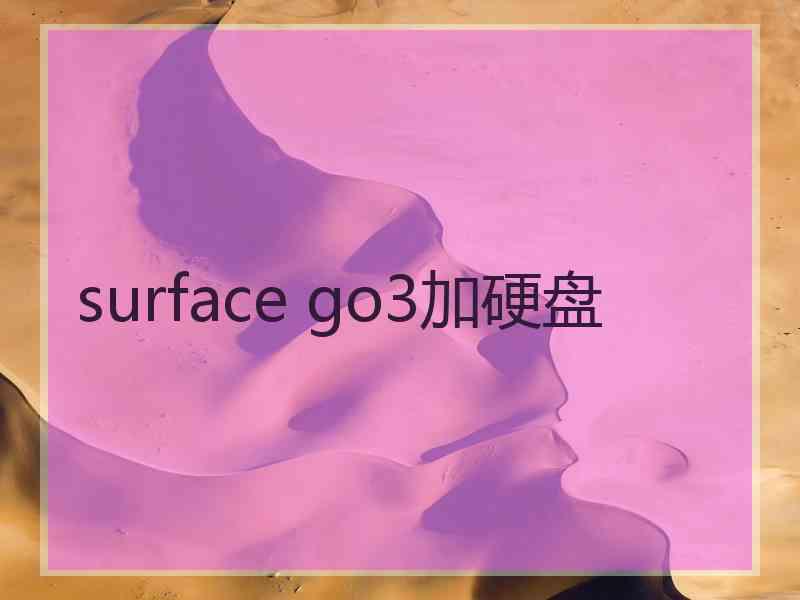 surface go3加硬盘