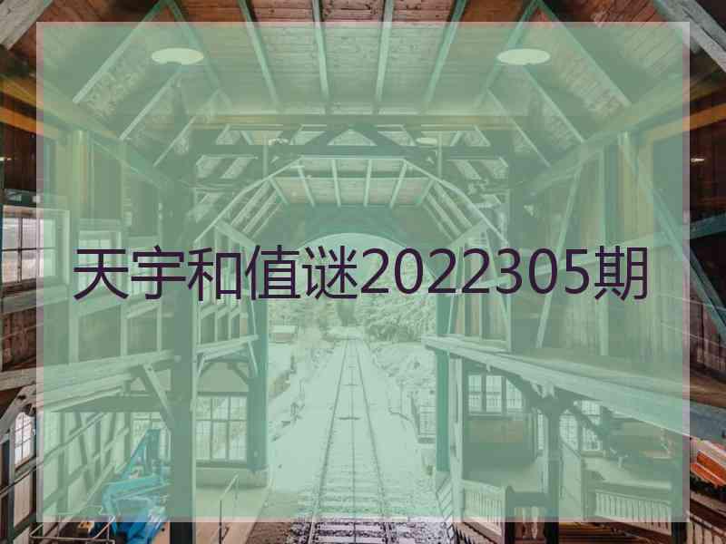 天宇和值谜2022305期