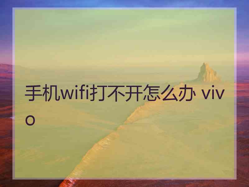 手机wifi打不开怎么办 vivo