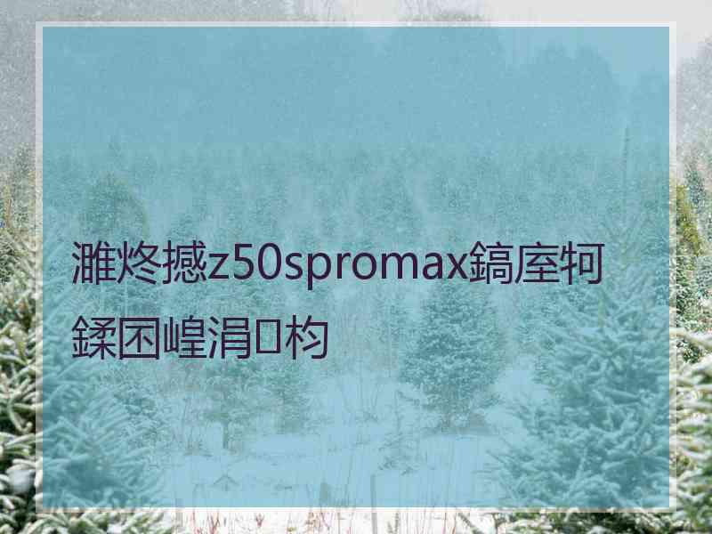 濉炵撼z50spromax鎬庢牱鍒囨崲涓枃