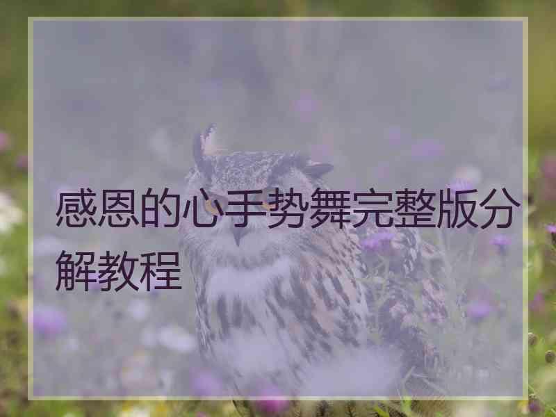 感恩的心手势舞完整版分解教程