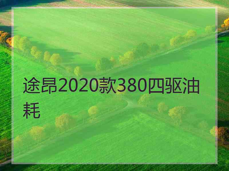 途昂2020款380四驱油耗