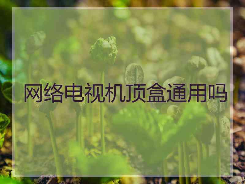 网络电视机顶盒通用吗