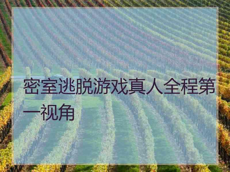 密室逃脱游戏真人全程第一视角