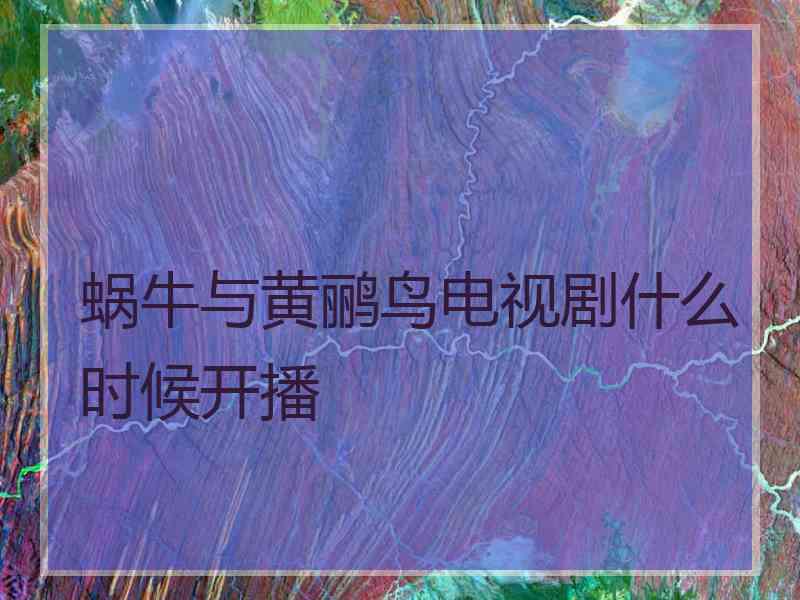 蜗牛与黄鹂鸟电视剧什么时候开播