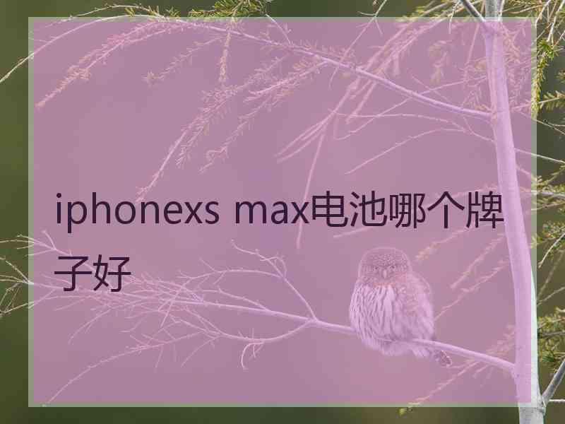 iphonexs max电池哪个牌子好