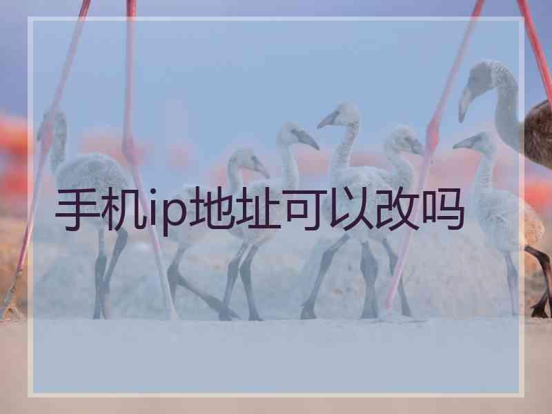 手机ip地址可以改吗