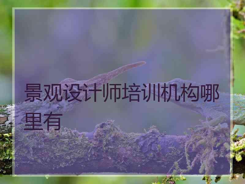 景观设计师培训机构哪里有