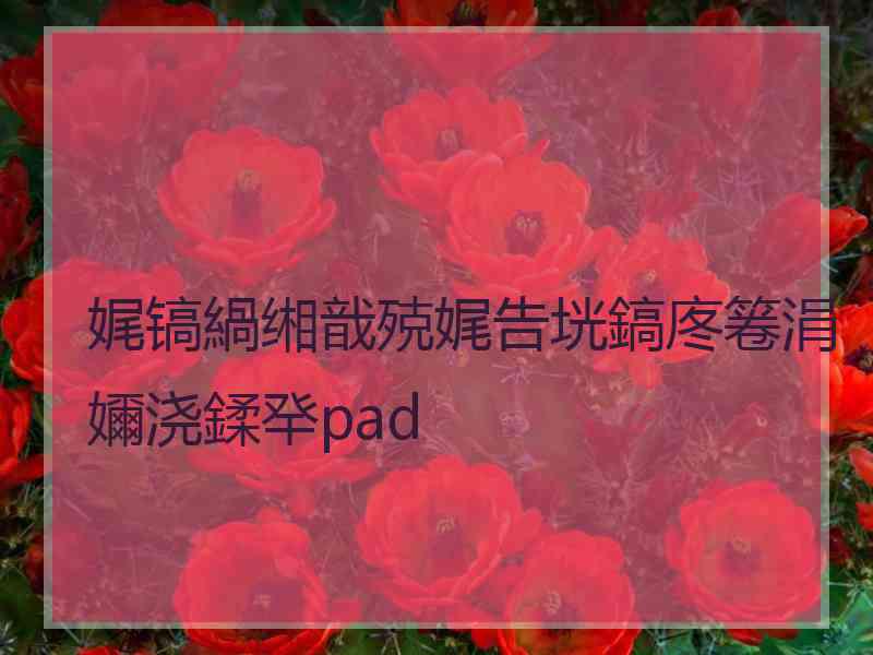 娓镐緺缃戠殑娓告垙鎬庝箞涓嬭浇鍒癷pad