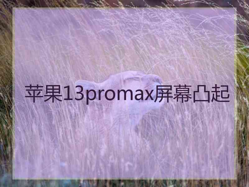 苹果13promax屏幕凸起