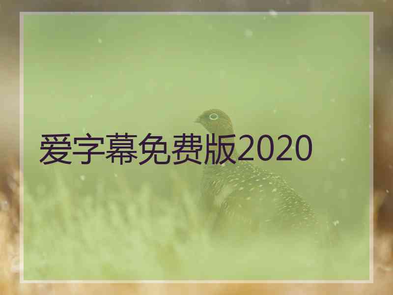 爱字幕免费版2020