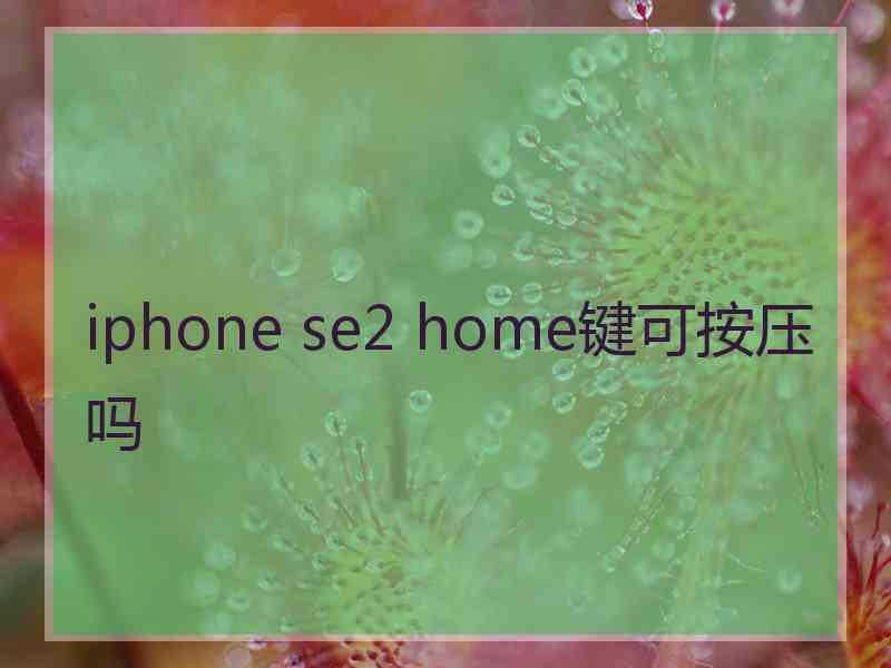 iphone se2 home键可按压吗