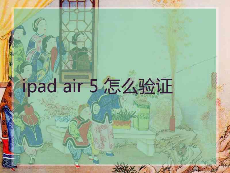 ipad air 5 怎么验证