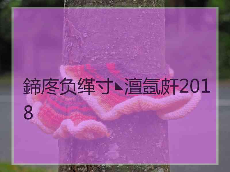 鍗庝负缂寸◣澶氬皯2018