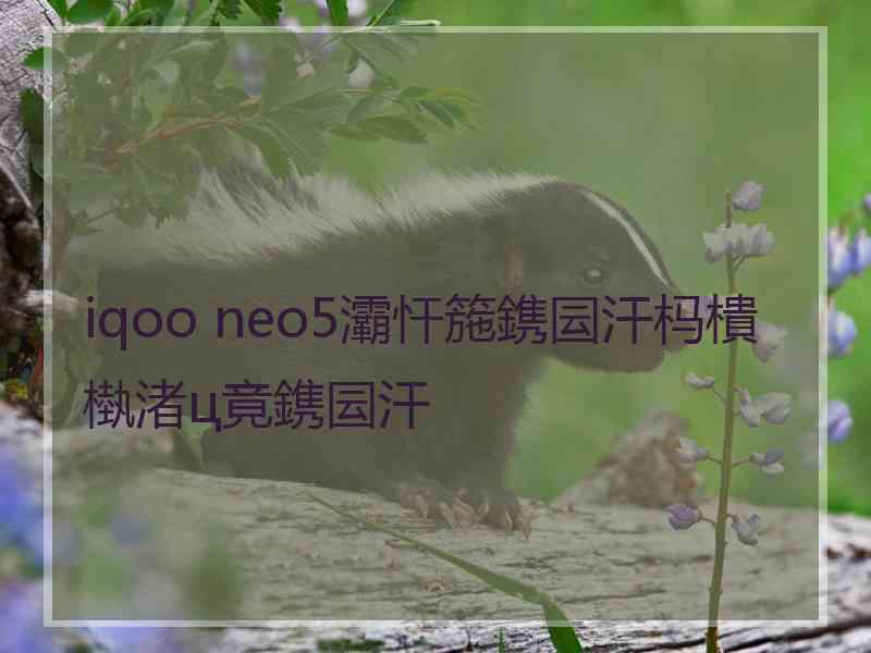 iqoo neo5灞忓箷鎸囩汗杩樻槸渚ц竟鎸囩汗