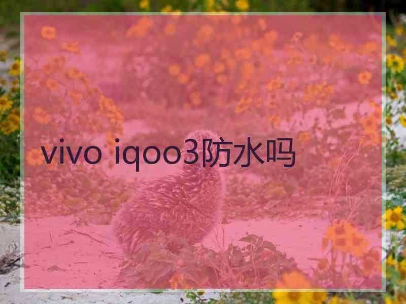 vivo iqoo3防水吗