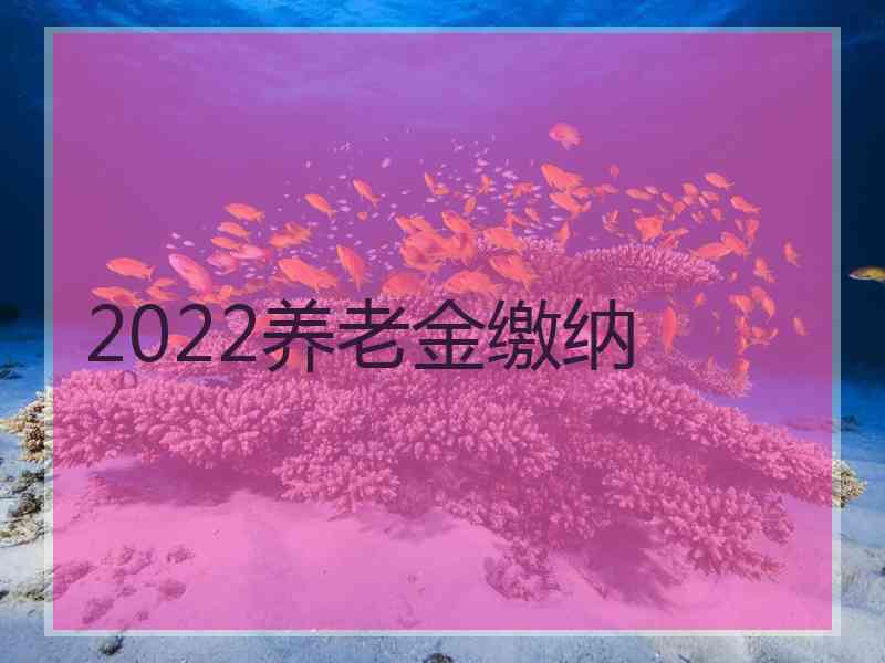 2022养老金缴纳