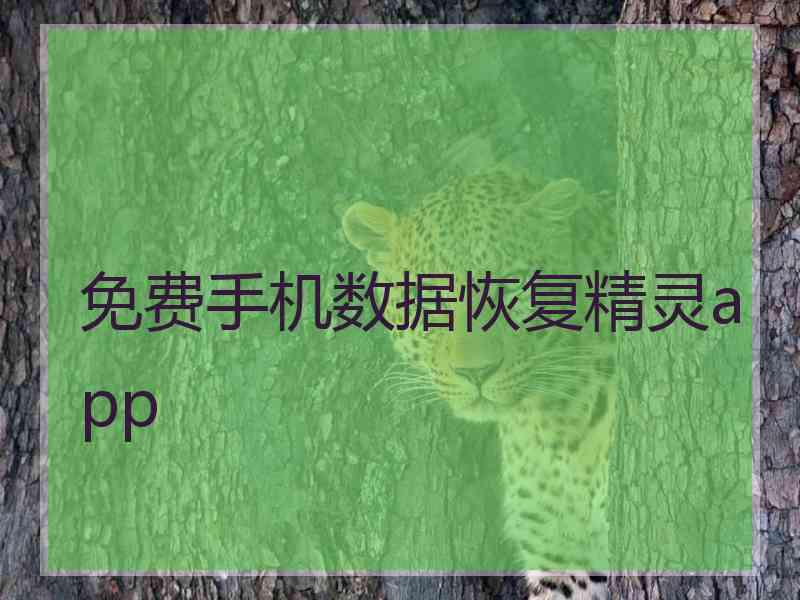 免费手机数据恢复精灵app