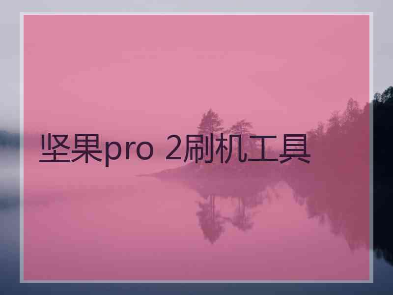 坚果pro 2刷机工具