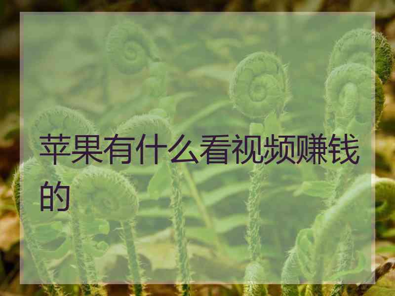 苹果有什么看视频赚钱的