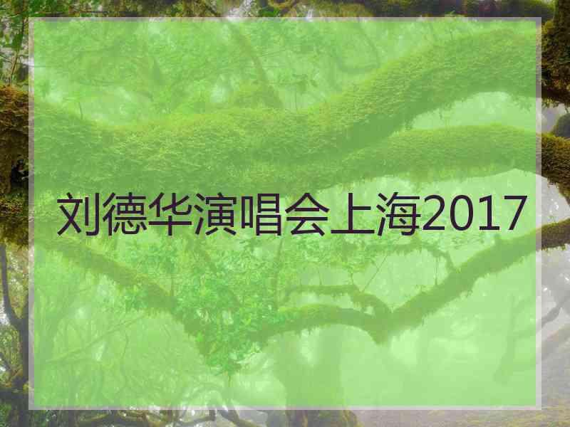 刘德华演唱会上海2017