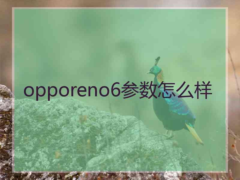 opporeno6参数怎么样